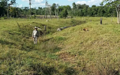Lost villages from centuries ago found in the Amazon rainforest